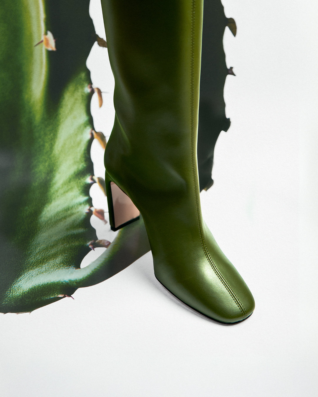 8:30 AM CACTUS MOOD - Deep Green